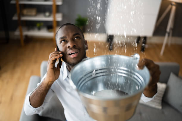  Auburn, KY Water damage restoration Pros