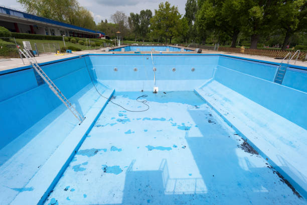 Best Flood damage cleanup  in Auburn, KY