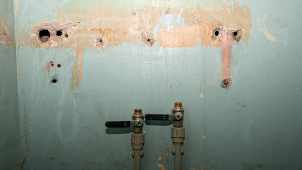 Best Ceiling water damage repair  in Auburn, KY