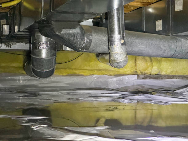 Best Carpet water damage restoration  in Auburn, KY
