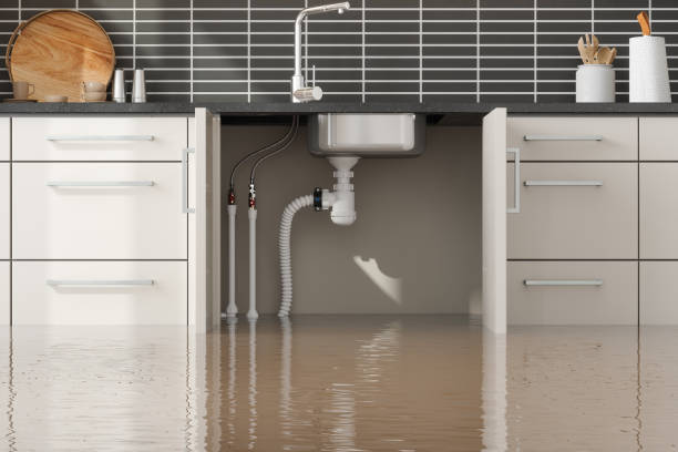 Best Water damage contractors near me  in Auburn, KY