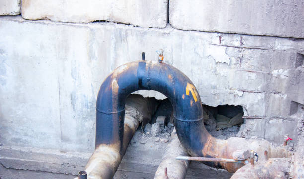 Best Professional water damage repair  in Auburn, KY