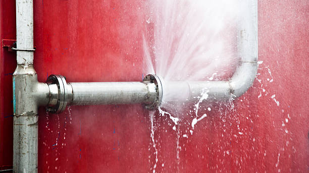 Best Professional water damage repair  in Auburn, KY